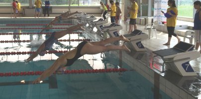 Nour au plongeon